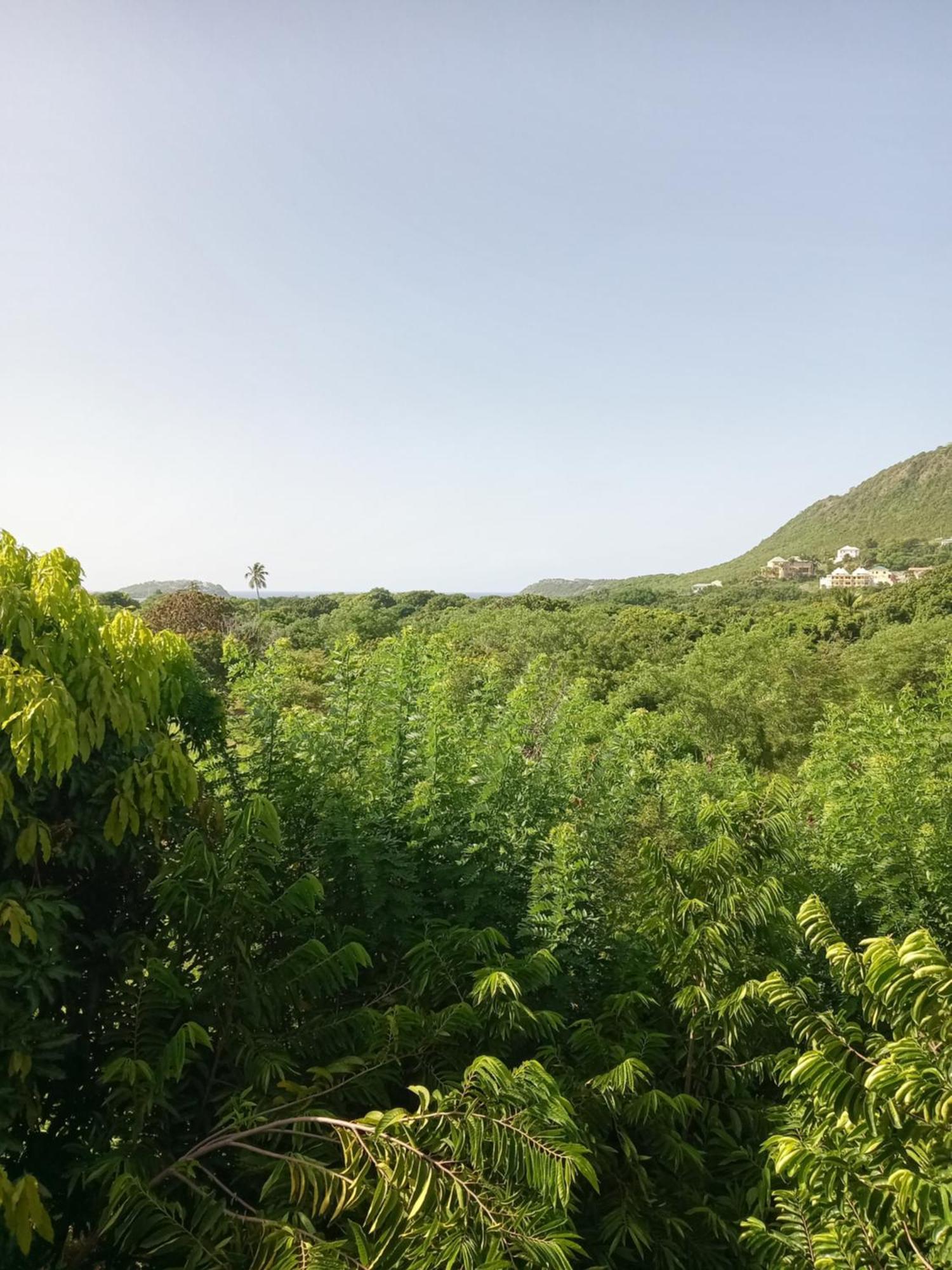 Apartment Unforgetable Gardens Falmouth Harbour 외부 사진