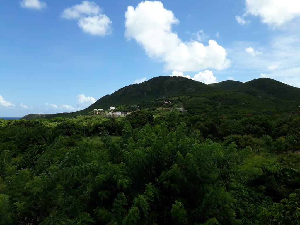 Apartment Unforgetable Gardens Falmouth Harbour 외부 사진