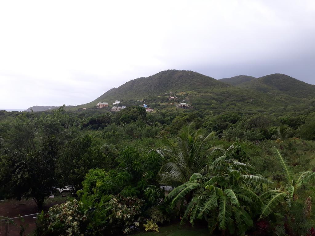 Apartment Unforgetable Gardens Falmouth Harbour 외부 사진